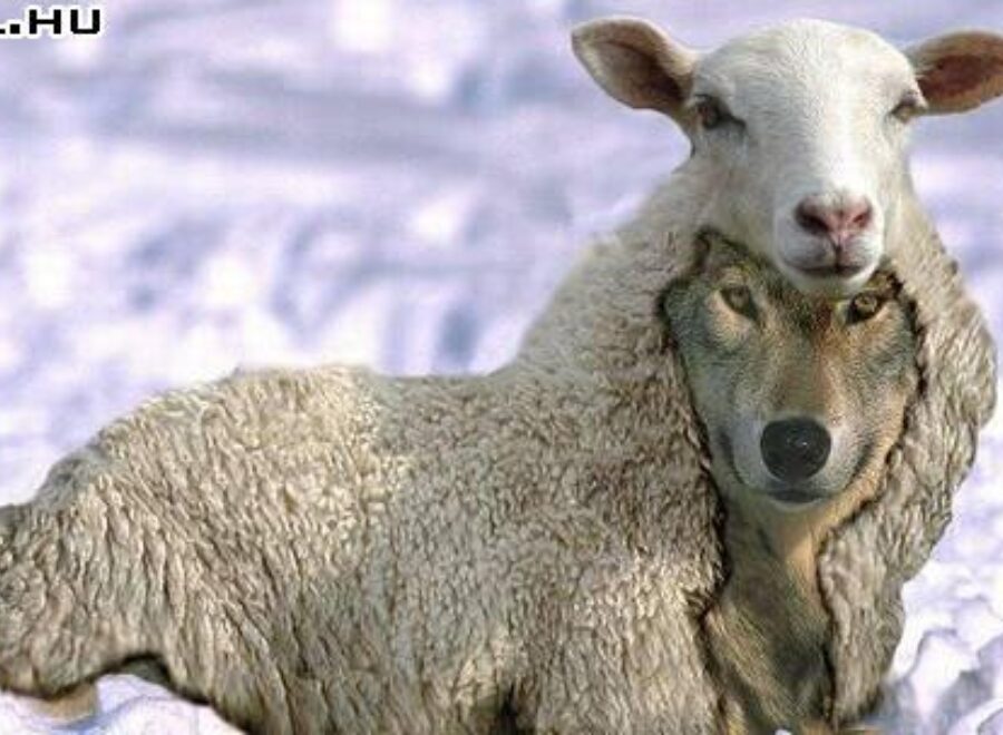 Lolhu fea47bf7 1395751916