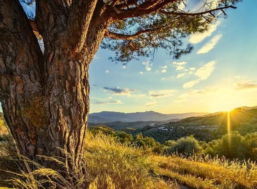 E430e5ce75d945d38dd2cc9ad20ad9f2