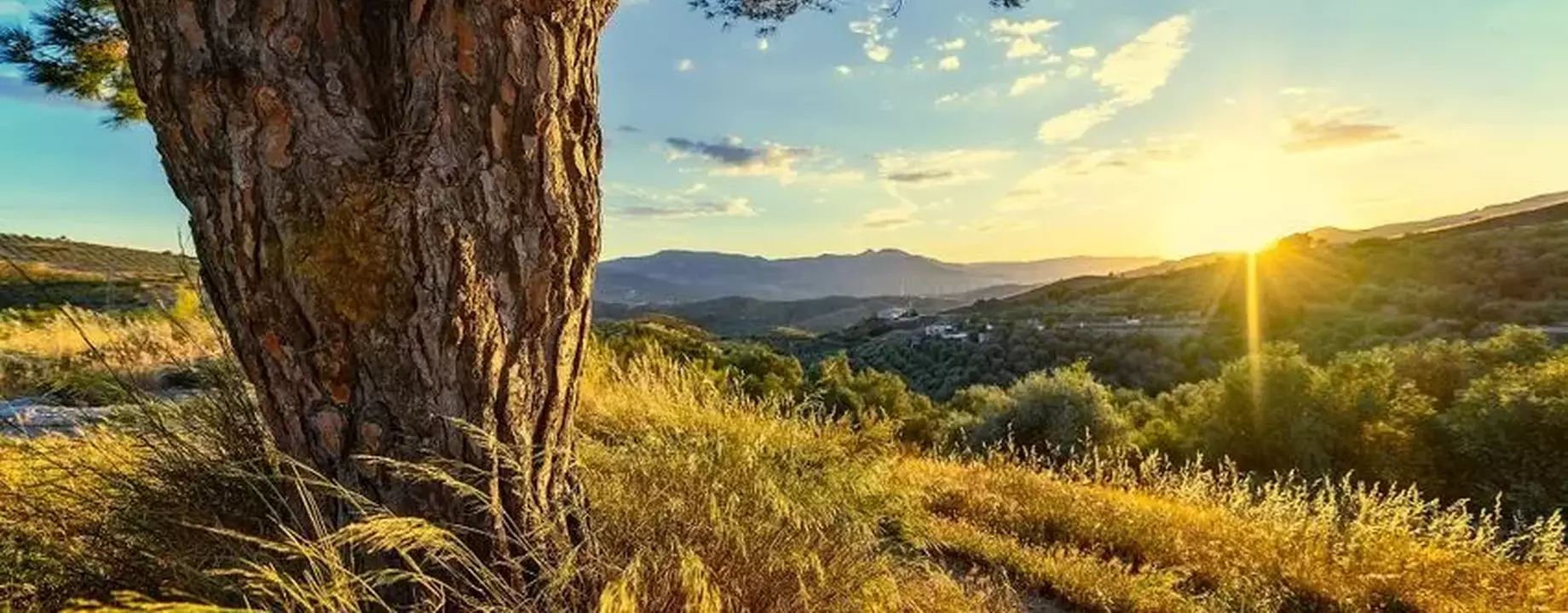 E430e5ce75d945d38dd2cc9ad20ad9f2