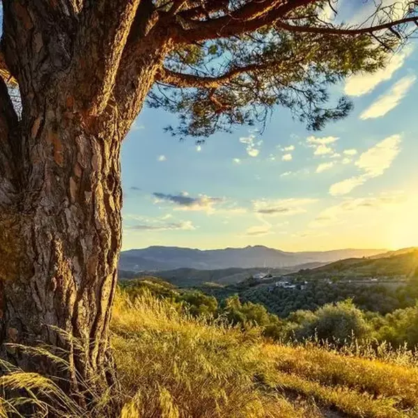 E430e5ce75d945d38dd2cc9ad20ad9f2