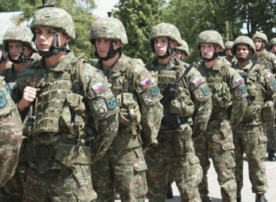 135 új digitális szlovák egyenruha 07