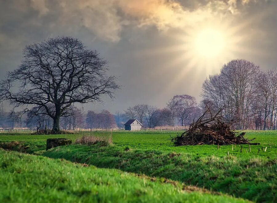 Autumn day 7731874 1280