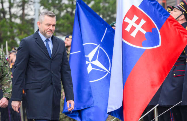 20252903 pellegrini nato nfiu 07118597 1743257812 scaled