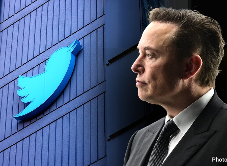Musk Twitter stake