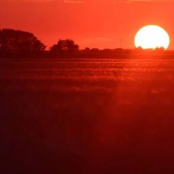 Images 25