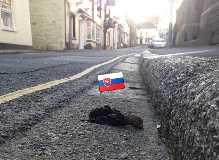Over the weekend the little presents left by mans best friend to adorn the streets of the town centre sprouted tiny