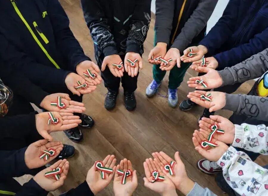 Székelyföldi kokárda