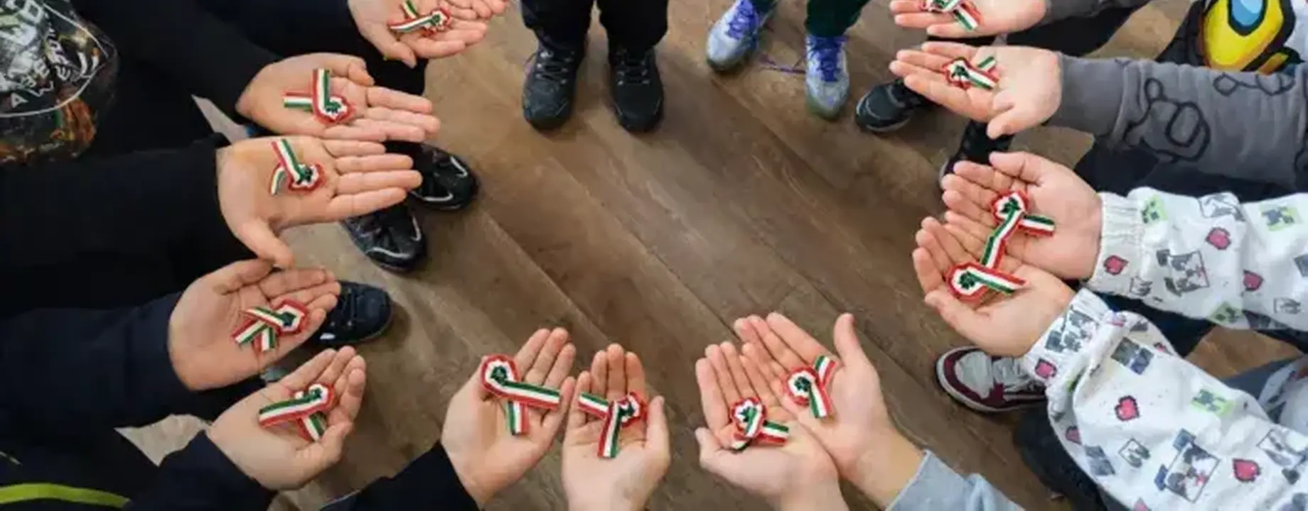 Székelyföldi kokárda