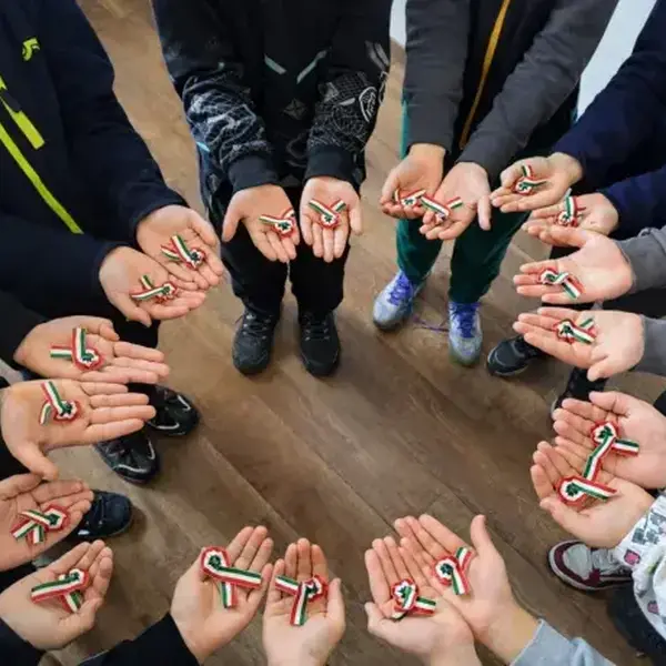 Székelyföldi kokárda