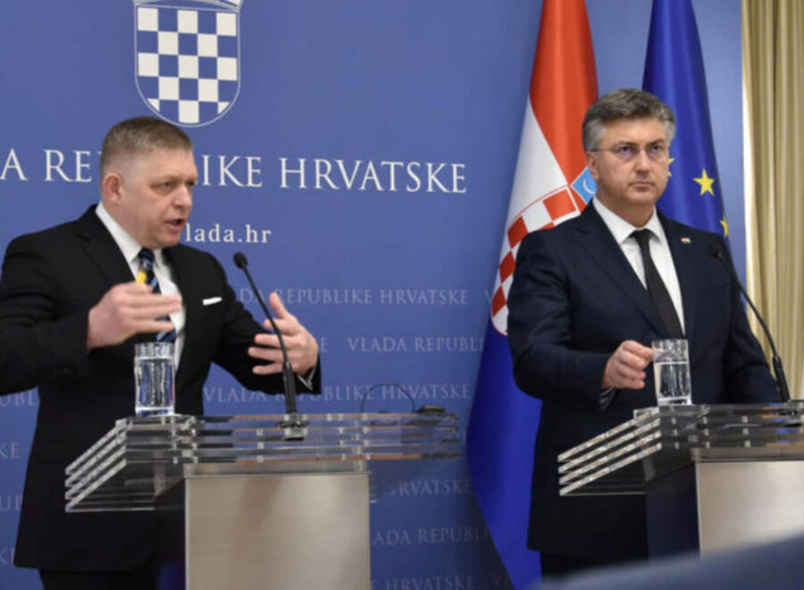 Fico plenkovic clanok W