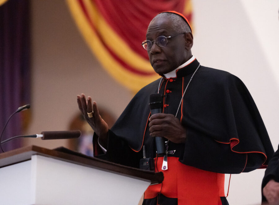 Cardinal sarah cr