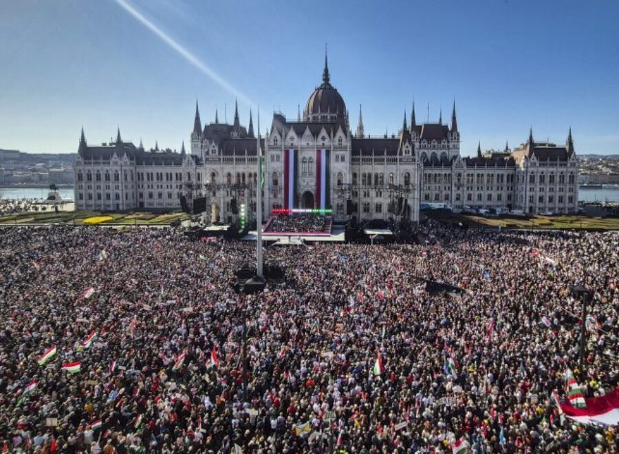 D MTI20260315007 780x470