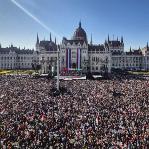 D MTI20260315007 780x470