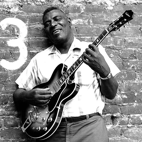 Howlin Wolf Getty Images 76039800