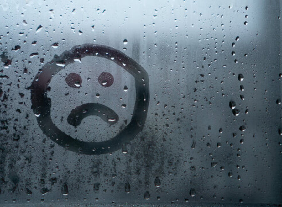 360 F 499616159 l Z Oj C2 Kv E Vqom C Zquy O Do Ltw E1u Z9 MLP