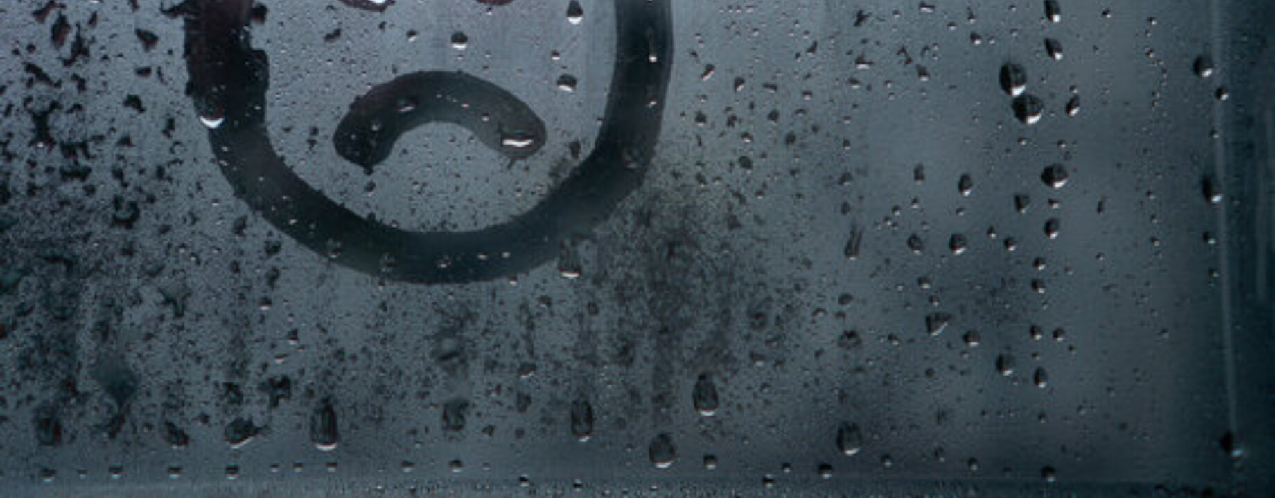 360 F 499616159 l Z Oj C2 Kv E Vqom C Zquy O Do Ltw E1u Z9 MLP