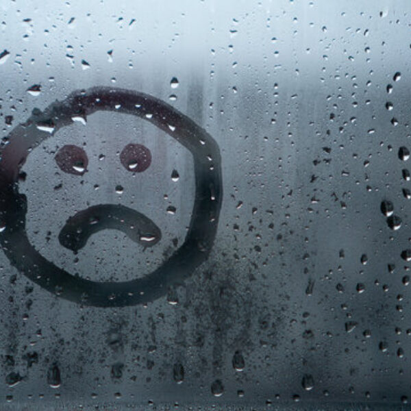 360 F 499616159 l Z Oj C2 Kv E Vqom C Zquy O Do Ltw E1u Z9 MLP