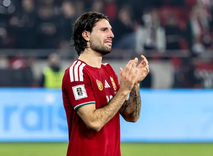 998c3ea1d10c403e87e55cb9546e4160