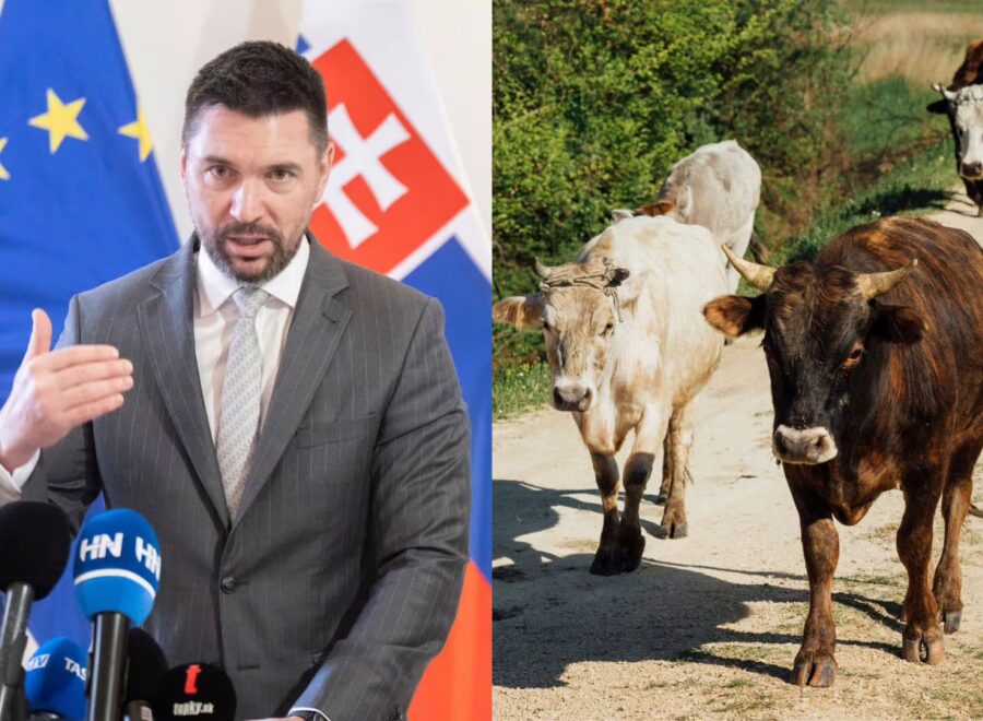 Takac slintacka a krivacka 286117 k Udh3kk L