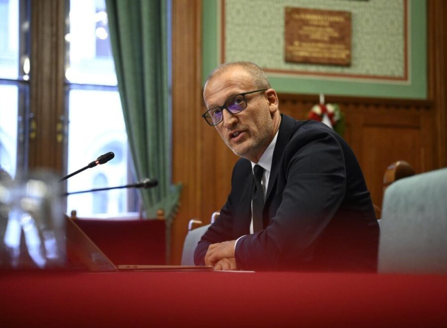Nn tarr zoltan