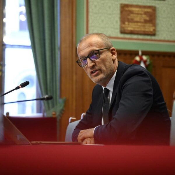 Nn tarr zoltan