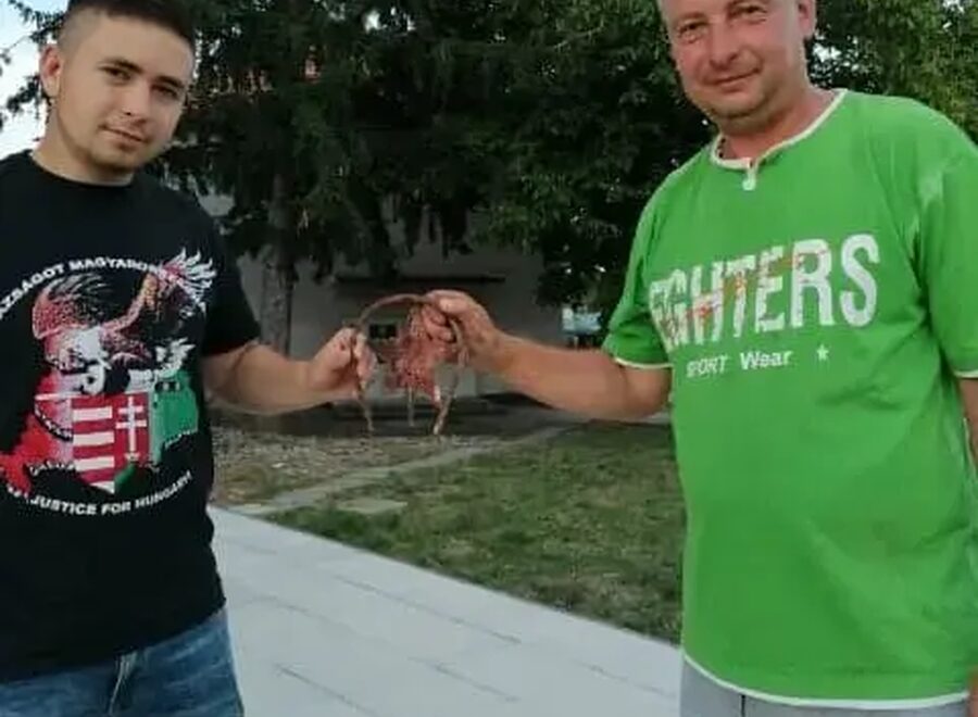 Farnadon a vörös csillag off