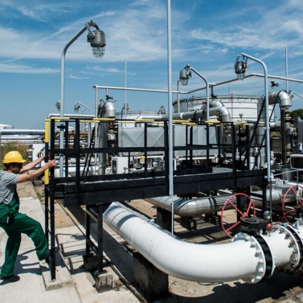 Baratsag koolaj 1772201238