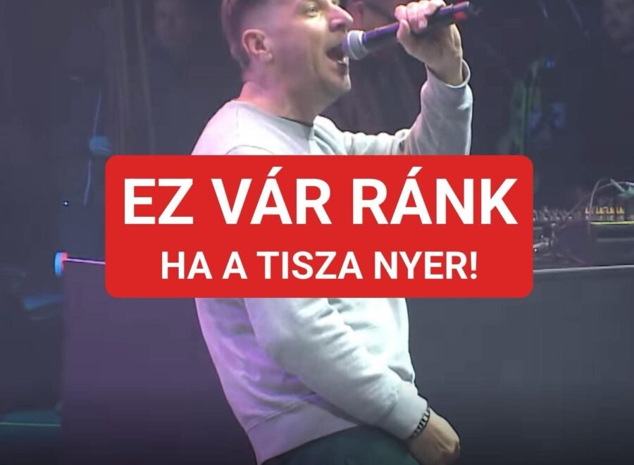 8cec248a 471f 4acf b2ba eb34e820861d