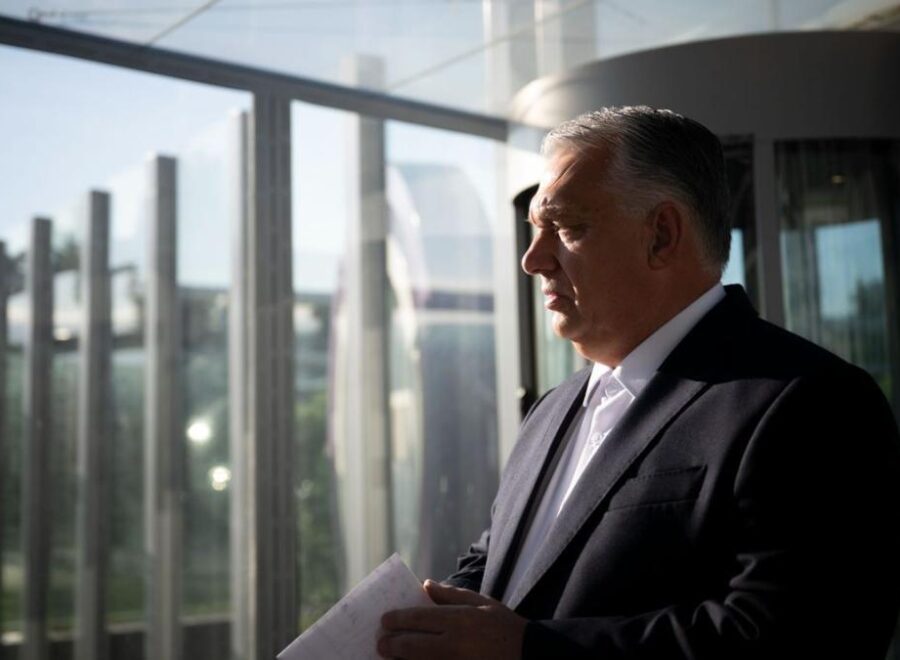 Orban nagyfonok