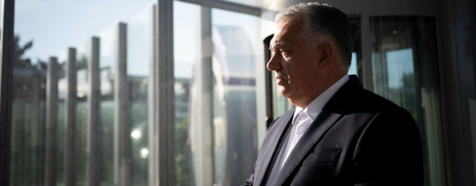 Orban nagyfonok
