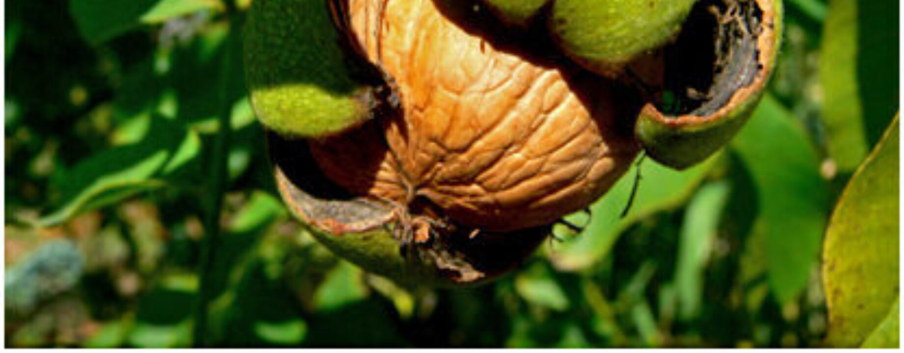 Kép forrása webbeteg