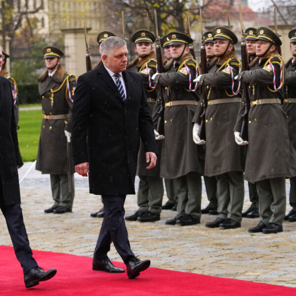 Fico fiala 01 nestandard1