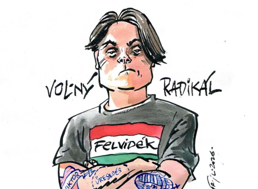 Gubik radikal