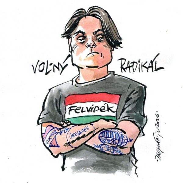 Gubik radikal