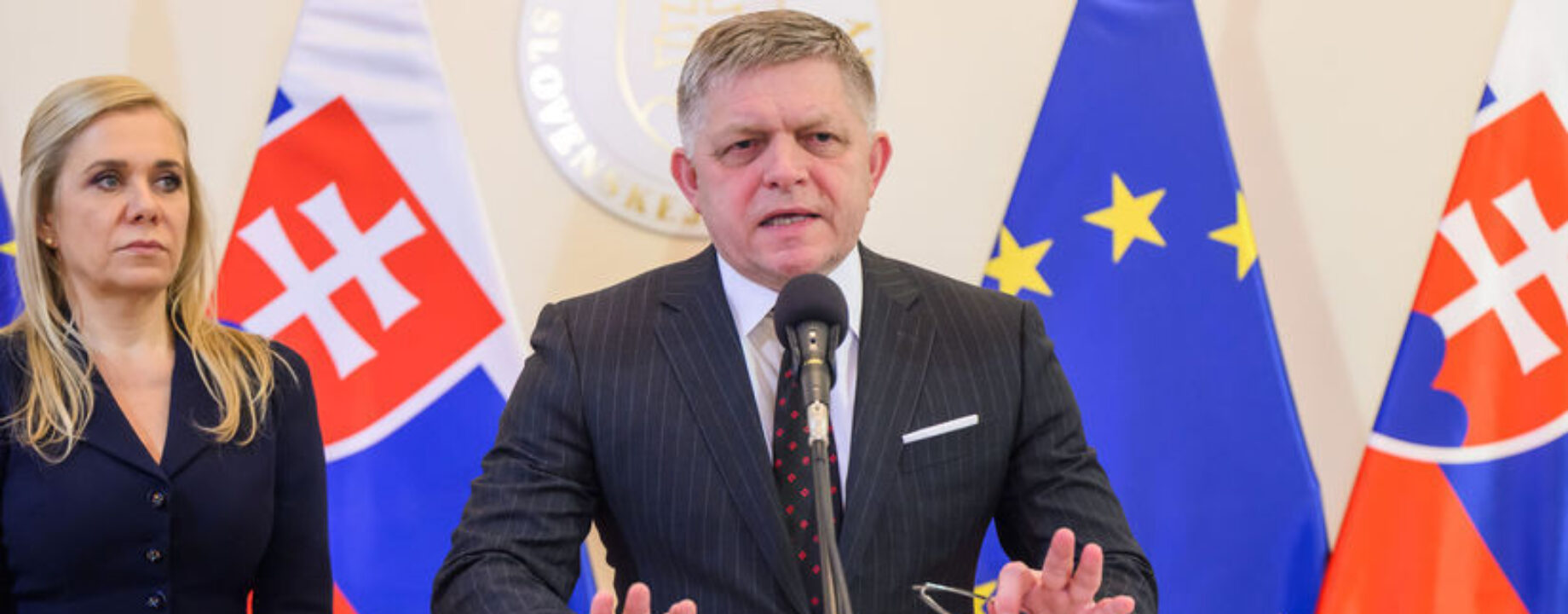 Fico sakova clanok W