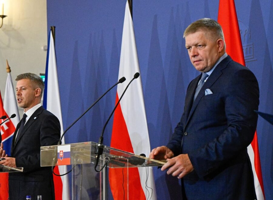 Fico magyar