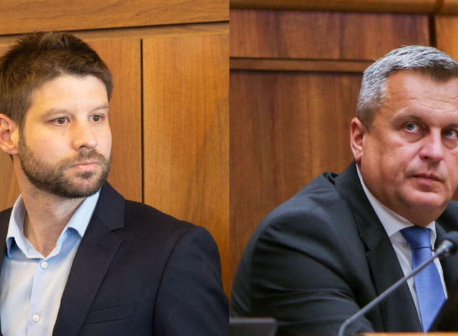 Simecka danko clanok W 1