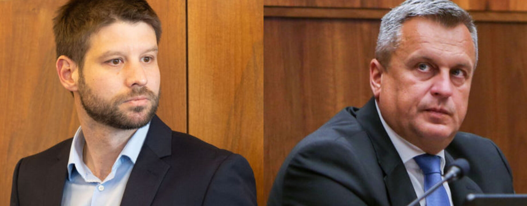 Simecka danko clanok W 1