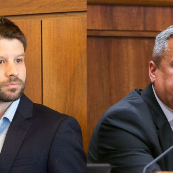 Simecka danko clanok W 1