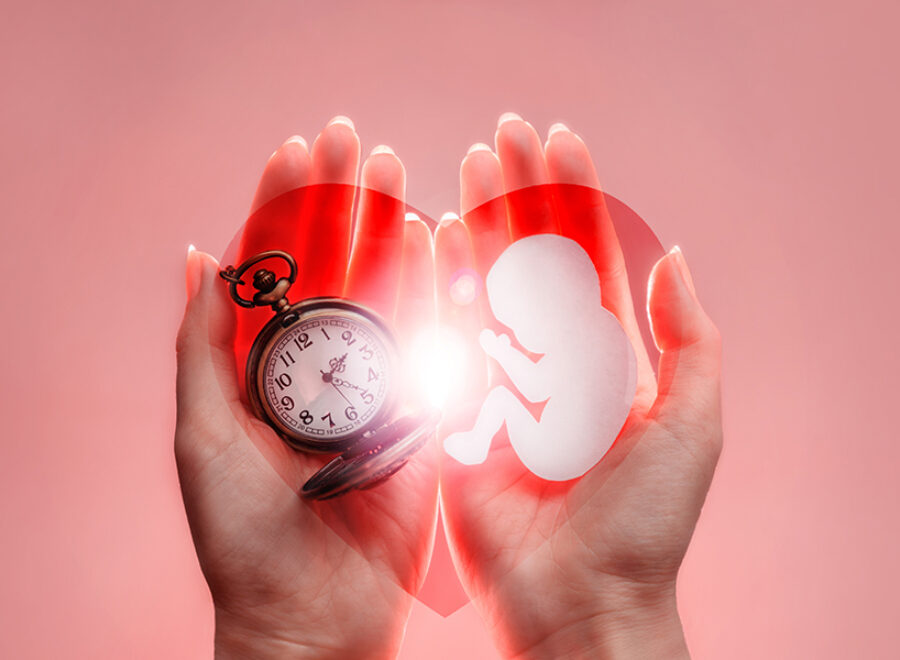 Abortusz