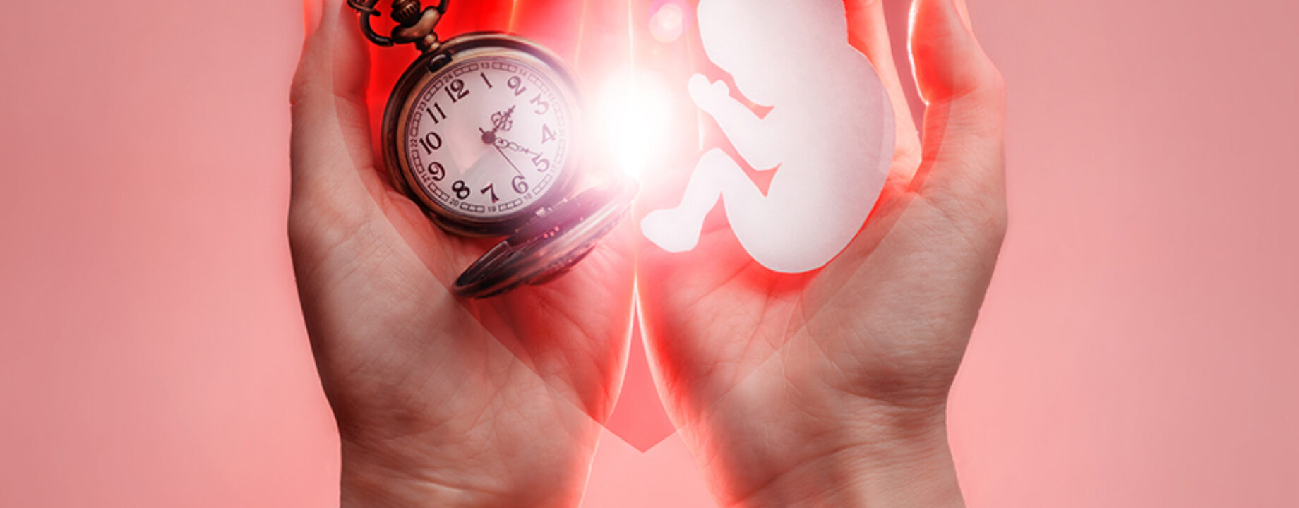 Abortusz