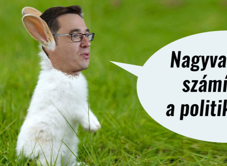 Nagyvad kamu geri e1641120984689