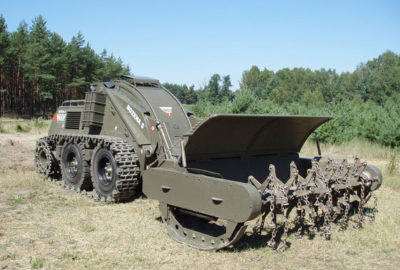 Bozena1 2