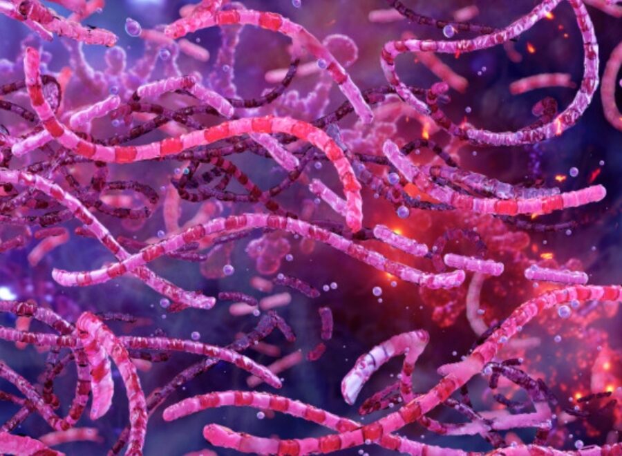 Screenshot 2025 07 21 21 01 03 692 it pinenuts rassegnastampa edit