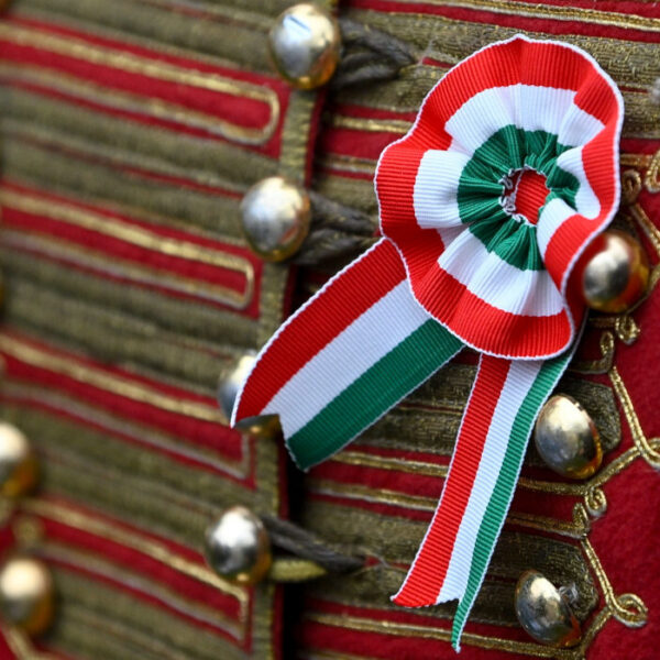 1741859115 z4p5 Wcnqn lg