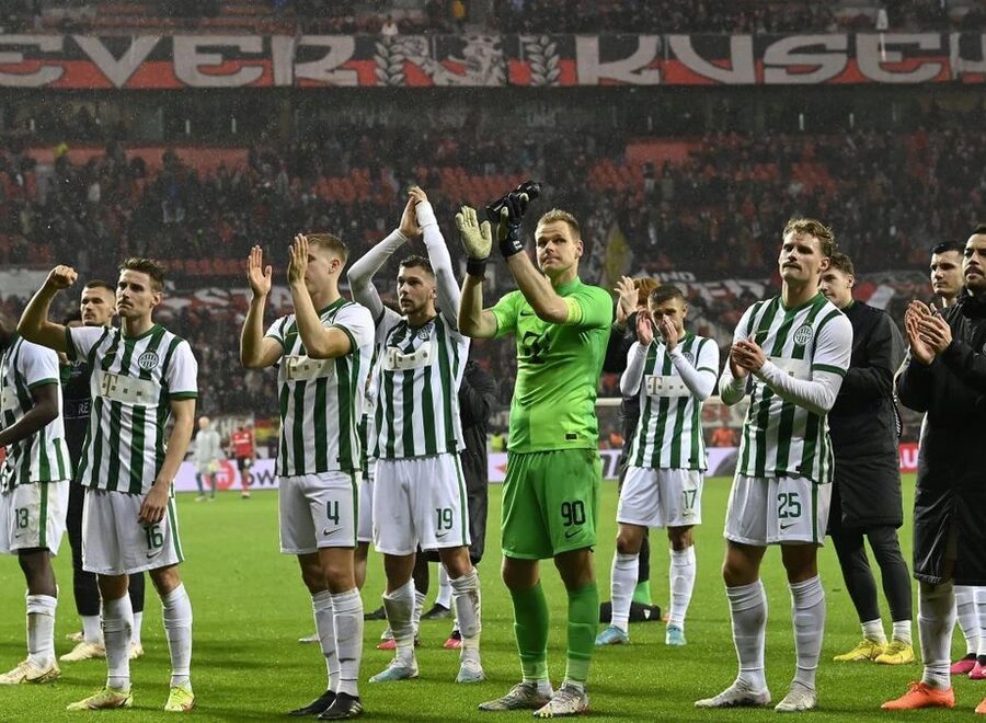 3648477 74278668 2560 1440