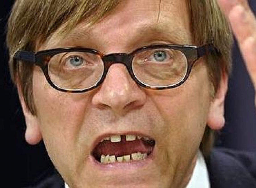 Guy verhofstadt fit 1200x10000