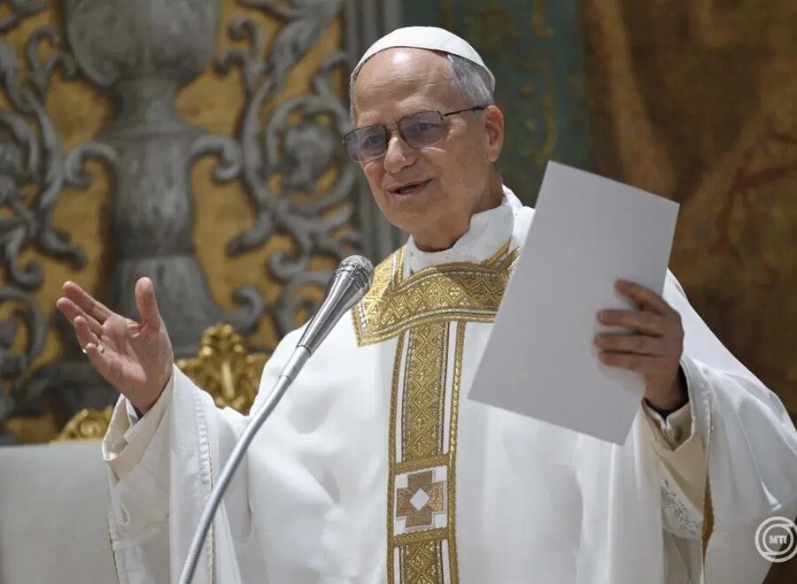 Nn leo papa1